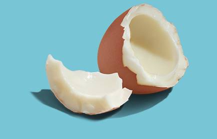 eggs
